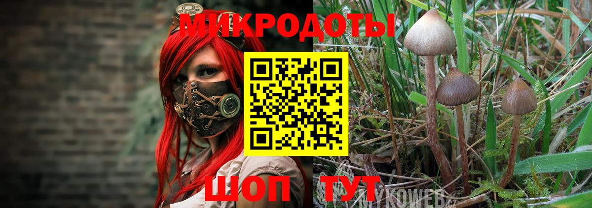 Галлюциногенные грибы прущие грибы  Вход с VPN  Галлюциногенные грибы ЛСД  Тельмана 